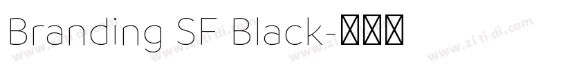 Branding SF Black字体转换
